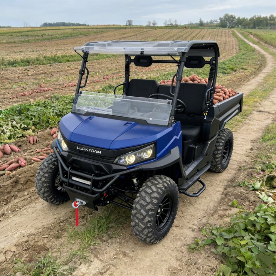 73.6V 4WD UTV 10kw AC موٹر EPS اسٹیئرنگ 150ah بیٹری